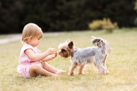 Een hond en de nieuwe baby